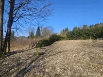 Prodej pozemku pro bydlení, 4936 m2