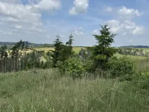 Prodej lesa, Chlum, 5098 m2