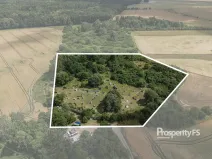 Prodej komerčního pozemku, Velká Dobrá, 16033 m2