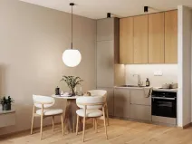 Prodej bytu 1+kk, Brno, Hálkova, 46 m2
