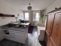 Prodej bytu 1+kk, Brno, Halasovo náměstí, 23 m2