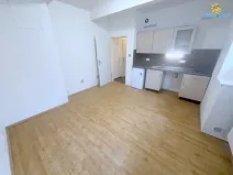 Pronájem bytu 1+kk, Praha - Nusle, U družstva Ideál, 26 m2