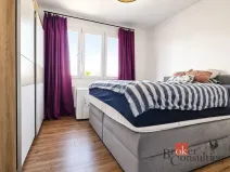 Prodej bytu 3+1, Plzeň - Lobzy, Partyzánská, 65 m2