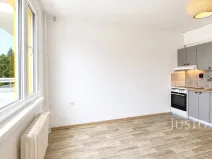 Pronájem bytu 1+kk, Písek - Budějovické Předměstí, 17. listopadu, 19 m2