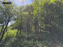 Prodej pozemku pro bydlení, Dolní Třebonín, 887 m2