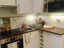 Pronájem bytu 1+kk, Praha - Vinohrady, Polská, 29 m2