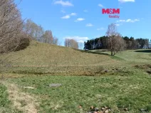 Prodej louky, Janův Důl, 2749 m2