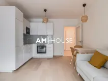 Pronájem bytu 2+kk, Praha - Vysočany, Ivana Hlinky, 52 m2