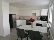 Pronájem bytu 3+kk, Šumice, 100 m2