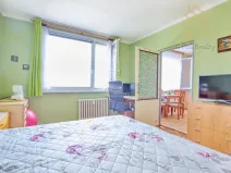Prodej bytu 2+1, Litoměřice - Předměstí, Jiřího z Poděbrad, 62 m2