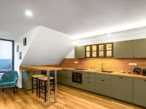 Pronájem bytu 1+kk, Abertamy, Pražská, 45 m2