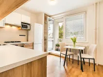 Prodej bytu 1+1, Brno, Horácké náměstí, 45 m2