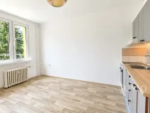Pronájem bytu 1+kk, Písek, 17. listopadu, 19 m2