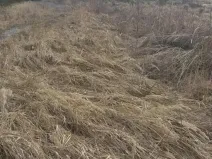 Prodej pozemku, Dolní Hořice, 2534 m2
