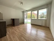 Pronájem bytu 1+kk, Plzeň - Bolevec, Tachovská, 27 m2