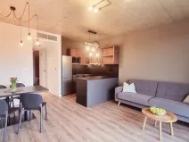 Pronájem bytu 2+kk, Brno, V rejích, 49 m2