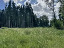 Prodej podílu lesa, Kramolín, 1401 m2