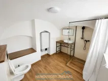 Pronájem bytu 1+kk, Znojmo, Velká Mikulášská, 35 m2