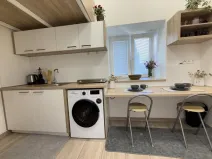 Prodej bytu 1+kk, Opava - Předměstí, Alšova, 15 m2