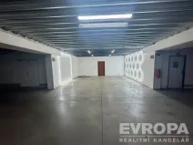 Pronájem komerční nemovitosti, Plzeň - Jižní Předměstí, U Borského parku, 58 m2