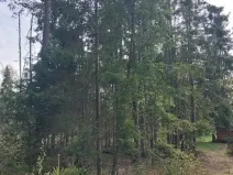 Prodej lesa, Žirovnice, 2374 m2