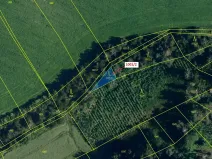 Dražba lesa, Březí nad Oslavou, 150 m2