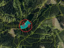 Prodej podílu lesa, Valašská Polanka, 1373 m2