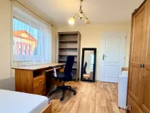 Pronájem pokoje, Praskačka, 24 m2