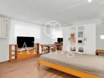 Prodej bytu 1+kk, Praha - Motol, Kudrnova, 25 m2