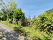 Prodej zahrady, Těšovice, 779 m2