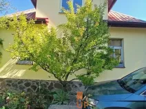 Prodej rodinného domu, Praha - Braník, Údolní, 120 m2
