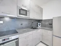 Pronájem bytu 1+kk, Olomouc, Edmunda Husserla, 30 m2