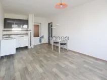 Pronájem bytu 1+kk, Praha, Pirinská, 30 m2