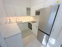 Pronájem bytu 2+kk, Praha - Žižkov, Čajkovského, 47 m2
