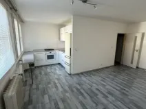 Pronájem bytu 1+kk, Beroun, Karla Čapka, 38 m2