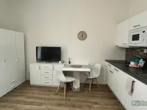 Pronájem bytu 1+kk, Praha - Nové Město, Petrská, 30 m2
