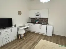 Pronájem bytu 1+kk, Praha - Nové Město, Petrská, 30 m2
