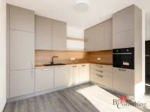Pronájem bytu 2+kk, Plzeň - Východní Předměstí, Sladová, 54 m2