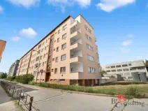 Prodej bytu 1+kk, Brno - Staré Brno, Náplavka, 18 m2