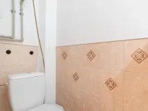 Prodej bytu 1+kk, Brno - Staré Brno, Náplavka, 18 m2