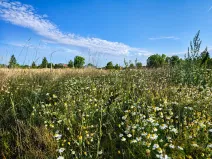 Prodej pozemku pro bydlení, Kolová, 1060 m2