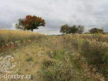 Dražba pozemku pro bydlení, Liběšice, 1000 m2