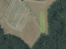 Prodej pole, Přehořov, 13100 m2