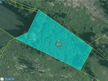 Prodej lesa, Studená - Horní Pole, 20620 m2