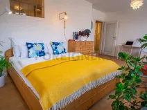 Pronájem bytu 1+1, Praha - Žižkov, Baranova, 35 m2