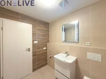 Pronájem bytu 1+kk, Plzeň, Železná, 39 m2