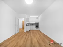 Pronájem bytu 2+kk, Brno - Zábrdovice, Příční, 54 m2