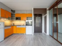 Pronájem bytu 1+kk, Brno, Okrouhlá, 30 m2