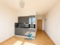 Pronájem bytu 1+1, Krupka, Karla Čapka, 36 m2