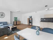 Prodej bytu 2+kk, Brno, Křenová, 59 m2